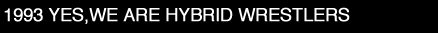 1993 YES,WE ARE HYBRID WRESTLERS