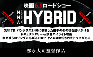 HYBRID