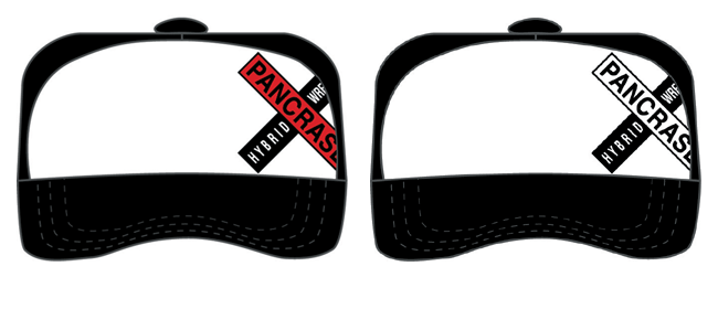 パンクラス メッシュキャップ2007