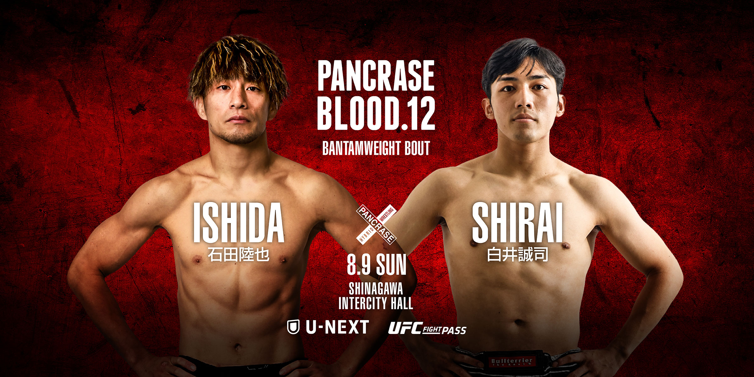 PANCRASE BLOOD.12