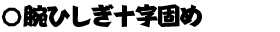 腕ひしぎ十字固め