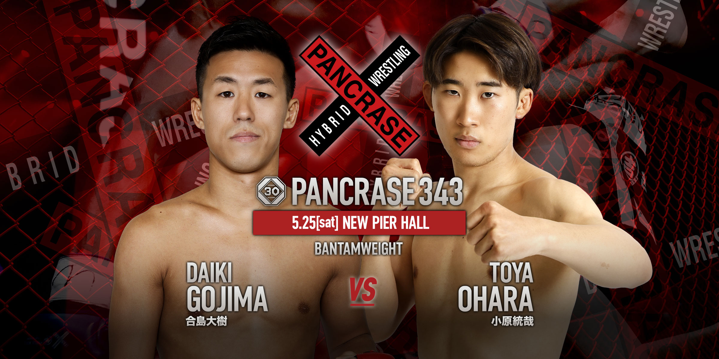 PANCRASE 343