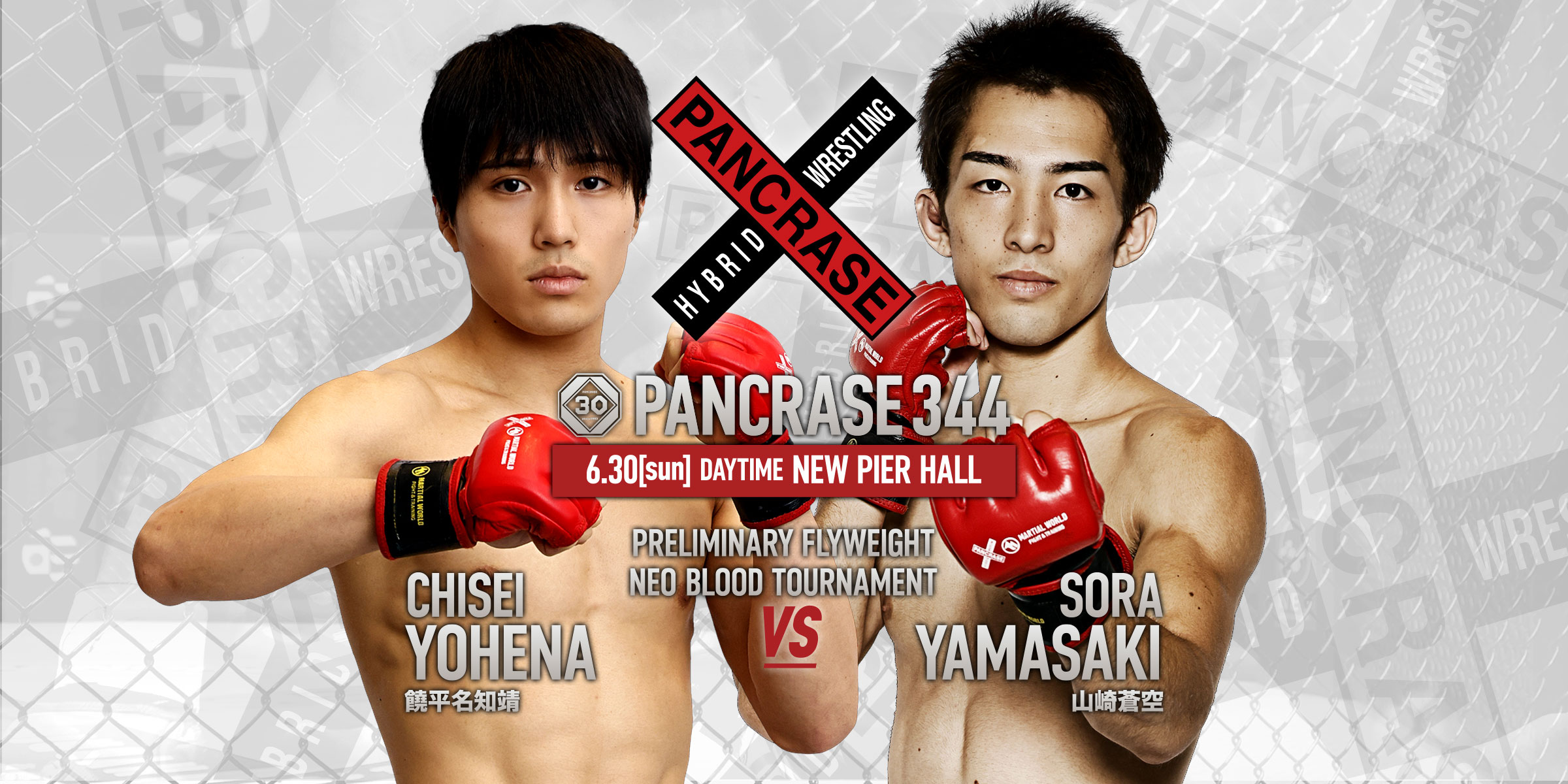 PANCRASE 344