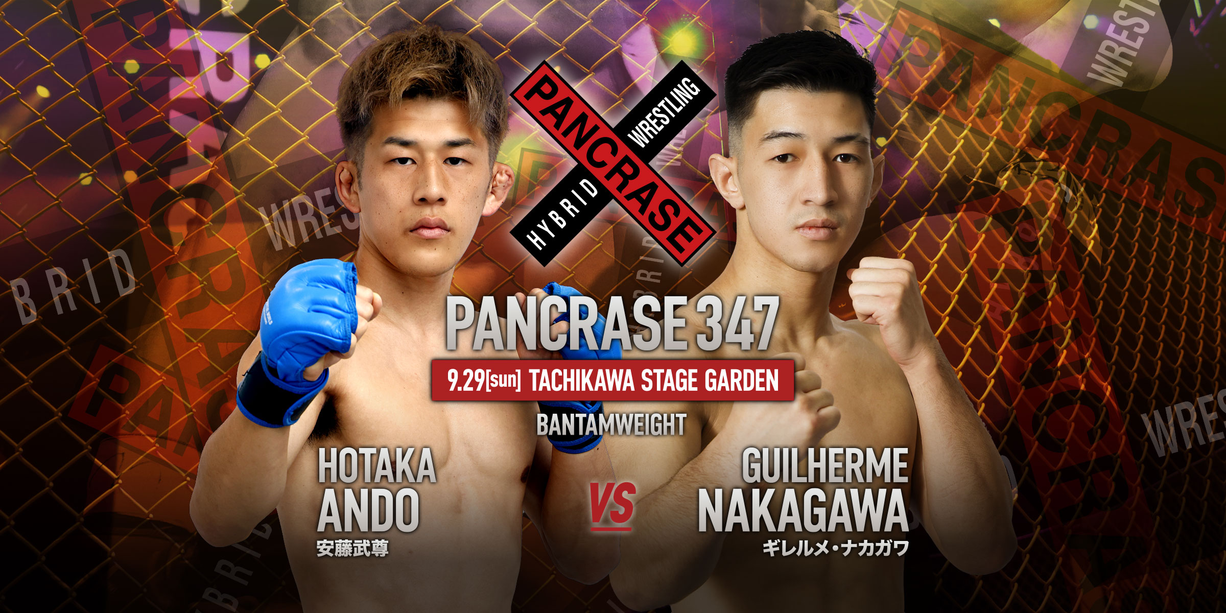 PANCRASE 347