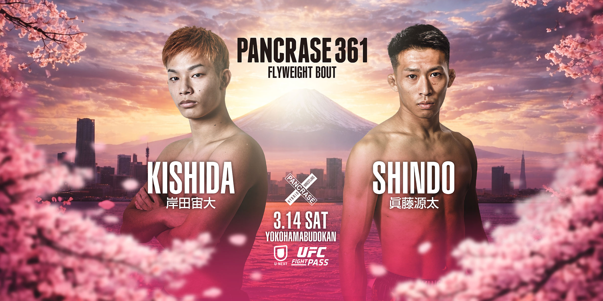 PANCRASE 361