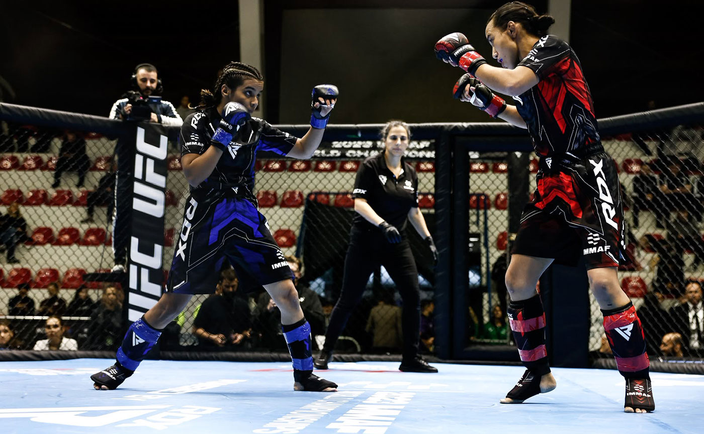 PANCRASE 367