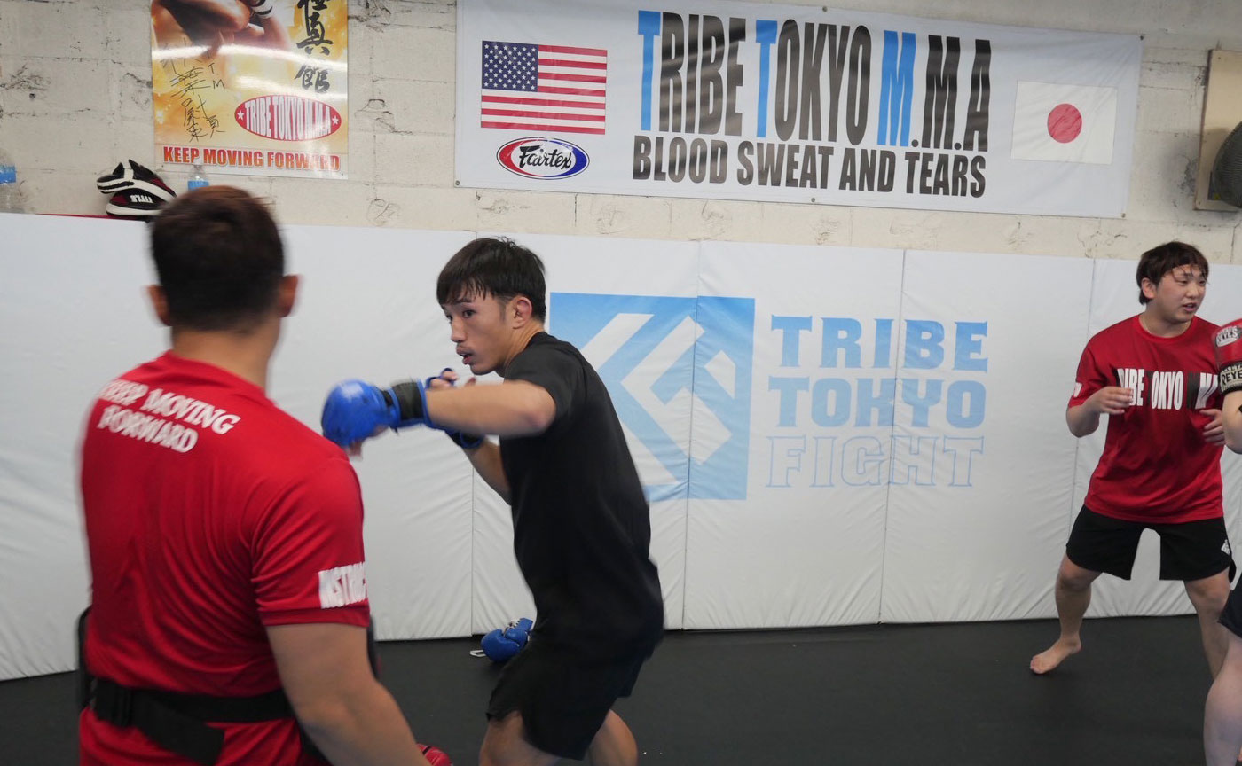 PANCRASE BLOOD.12