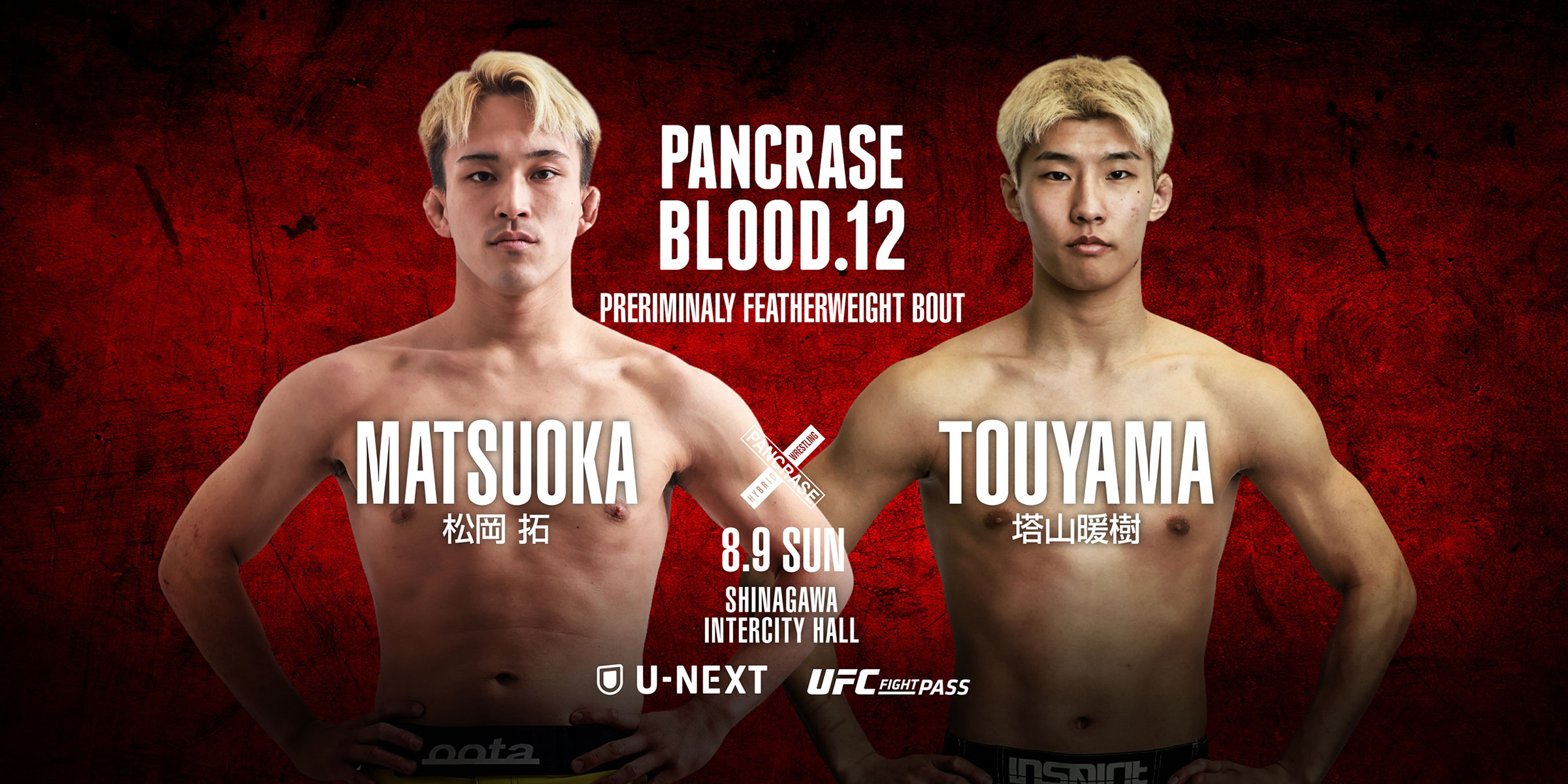 PANCRASE BLOOD.12