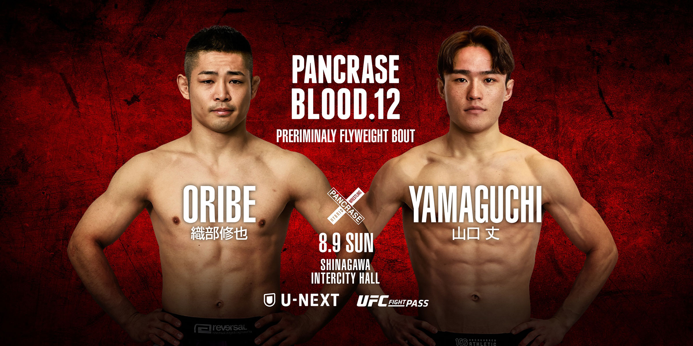 PANCRASE BLOOD.12